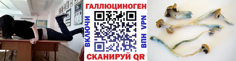 Псилоцибиновые грибы прущие грибы  hydra как зайти  Мыски 