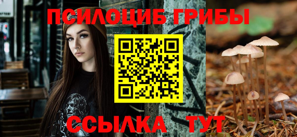 Галлюциногенные грибы мицелий Мыски