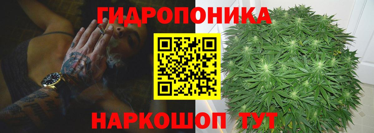 Бошки Шишки гибрид Мыски